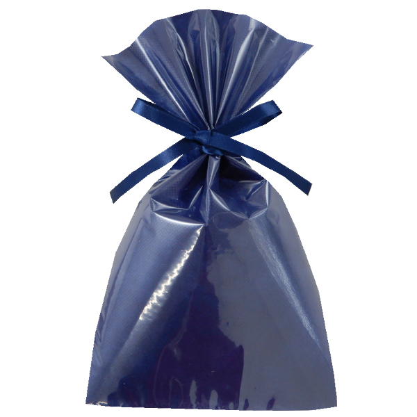 不織布 ラッピング袋 前面透明 LS164 ソフトバッグ・クリア 2穴リボン