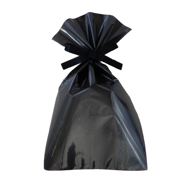 不織布 ラッピング袋 前面透明 LS165 ソフトバッグ・クリア 2穴リボン