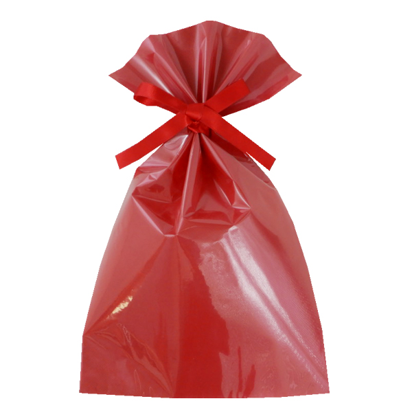 不織布 ラッピング袋 前面透明 LS165 ソフトバッグ・クリア 2穴