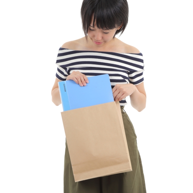 新品未使用Rady 紙袋 24-17（240×170×240）未晒クラフト無地 手提げ紙袋 25CB【送料