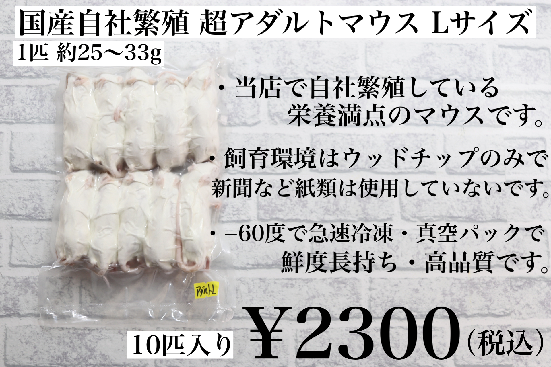 冷凍国産 アダルトマウスＬサイズ 1匹約25g~33g