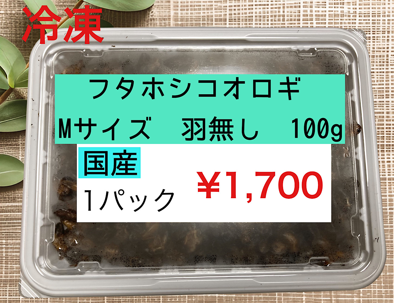 冷凍S30 SM30 SS100 冷凍S30 SM30 SS100
