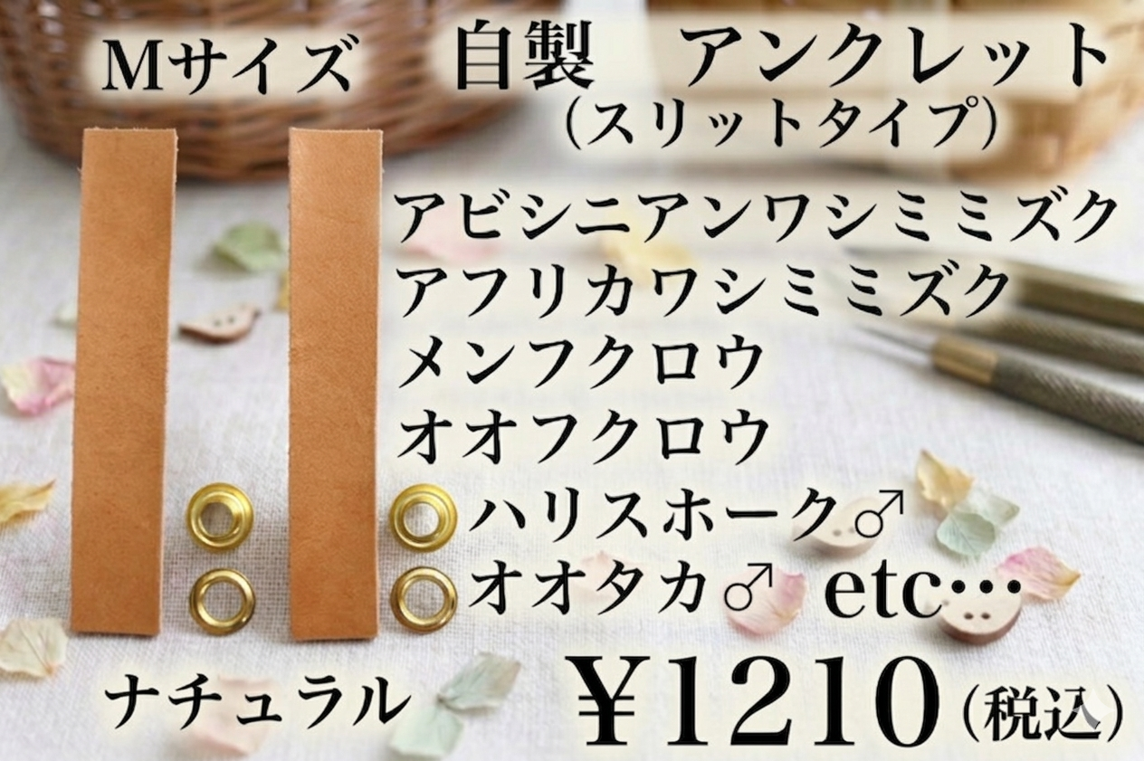 カンガルー革アンクレット　Ｍサイズ