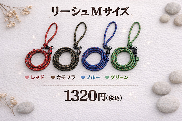 ザイルリーシュ　Mサイズ