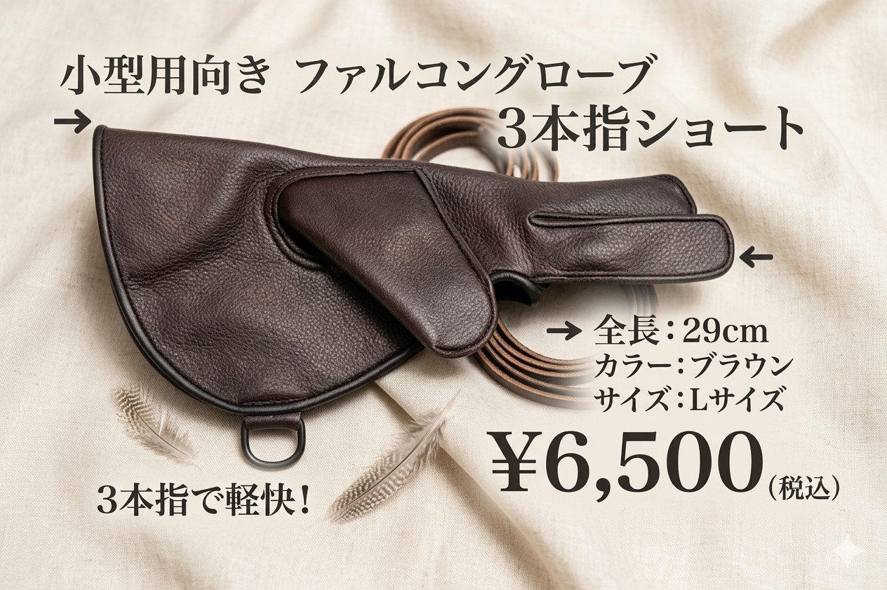 ファルコングローブ　ショート　3本指　小型猛禽用