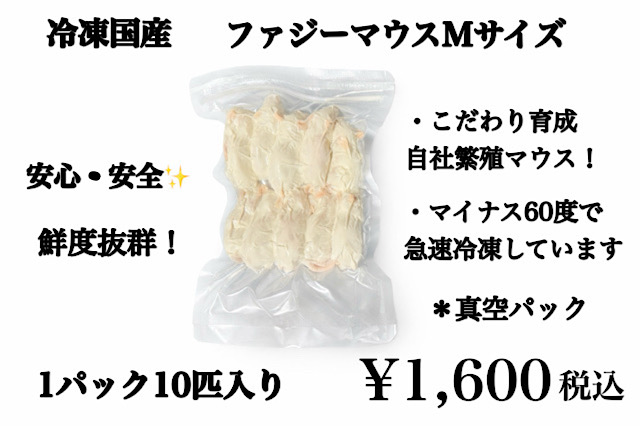 鮮度最高級　冷凍国産　ファジーマウスＭサイズ　10匹入り