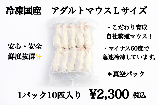 冷凍国産　鮮度最高級　アダルトマウスＬサイズ　10匹入り
