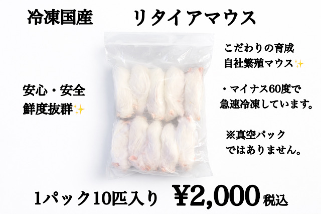 鮮度最高級　冷凍国産　リタイアマウス　10匹入り
