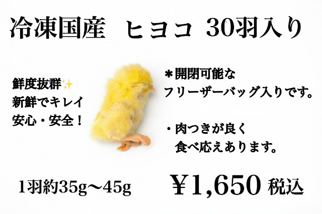 送料無料　冷凍国産ヒヨコ300匹 2024-01-31-08-51-49-