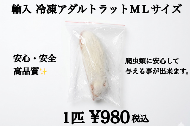 冷凍　アダルトラットＭＬサイズ　1匹約148ｇ～約160ｇ