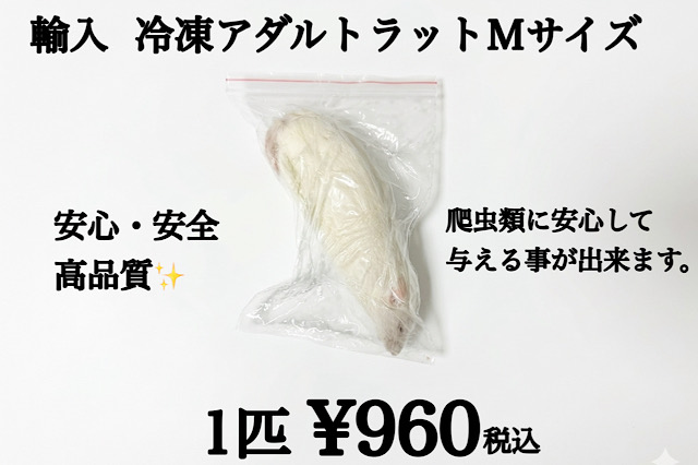冷凍　アダルトラットＭサイズ　1匹約100ｇ～125ｇ