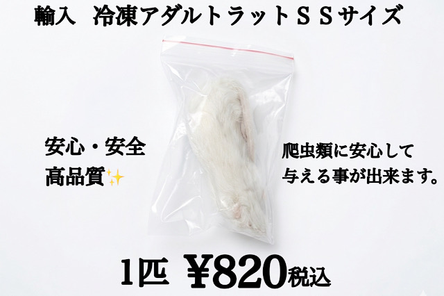 冷凍　アダルトラット　SSサイズ　約42ｇ～50ｇ