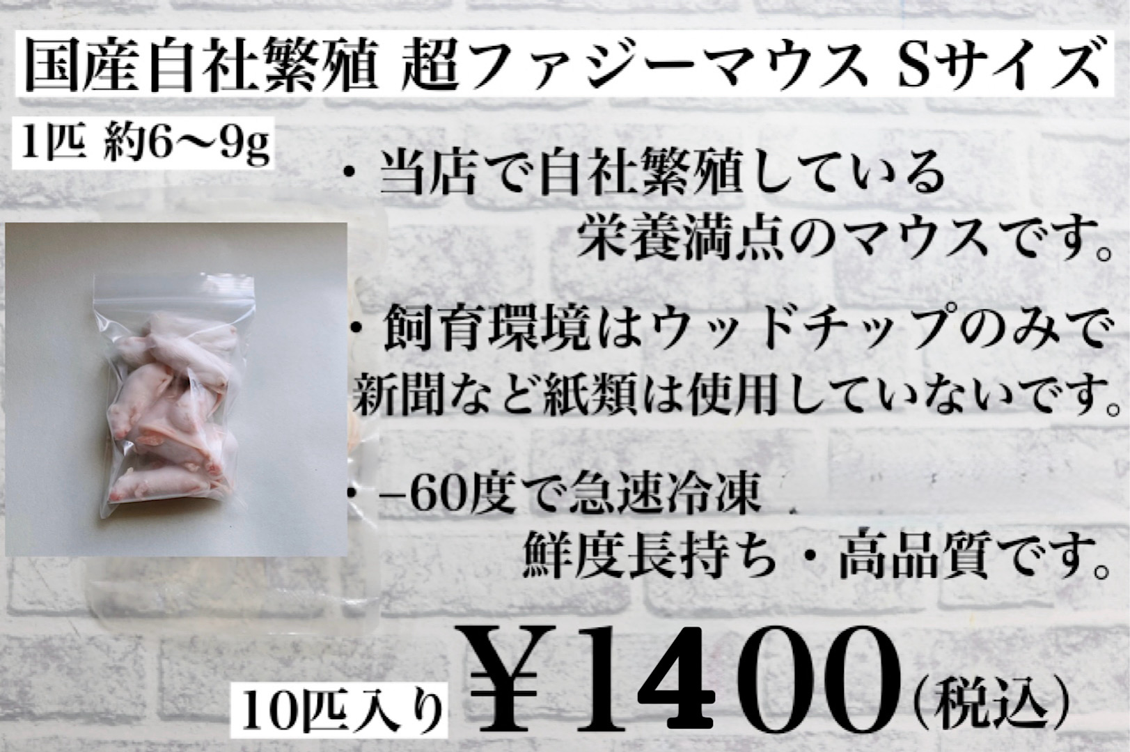 冷凍国産 ファジーマウスSサイズ 10匹入り