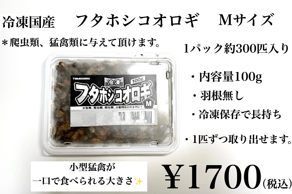 【関東・信越・九州の方】　1kg 冷凍コオロギ MLサイズ（フタホシコオロギ） 関東・信越・九州の方】冷凍コオロギ 1kg M・Lサイズ