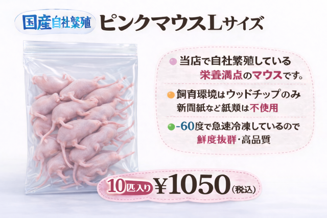 鮮度最高級　冷凍国産　ピンクマウスＬサイズ　10匹入り　1匹約4ｇ
