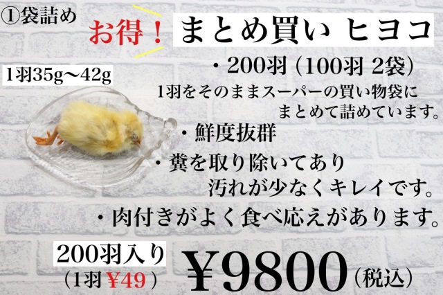 冷凍国産　 新鮮な　ヒヨコ　200羽、230羽　まとめ買い