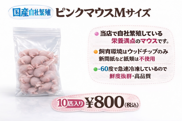 鮮度最高級　冷凍国産　ピンクマウスMサイズ　10匹入り　1匹約3ｇ　