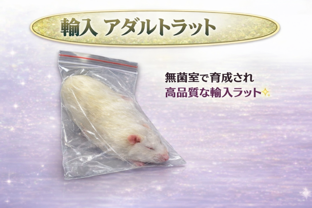 冷凍　アダルトラット　SSサイズ　約42ｇ～50ｇ