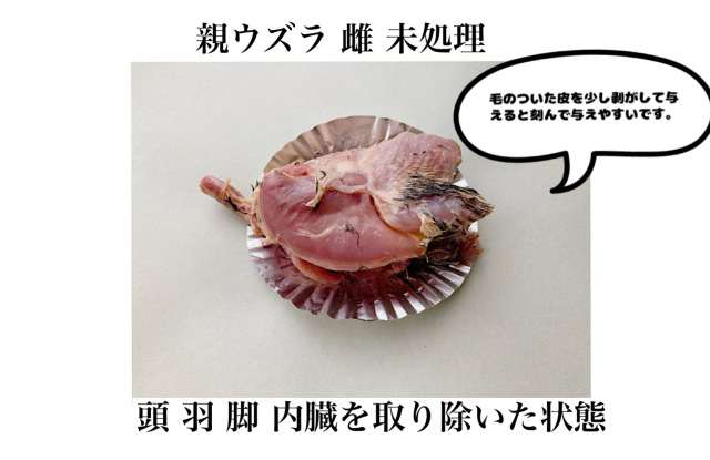 送料無料冷凍親ウズラ処理済み30羽