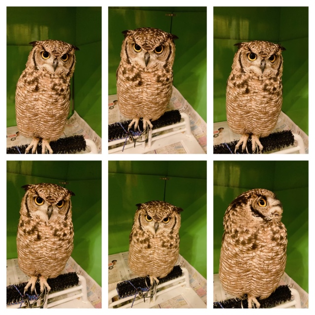 920900AA-2576-45DF-8EF3-