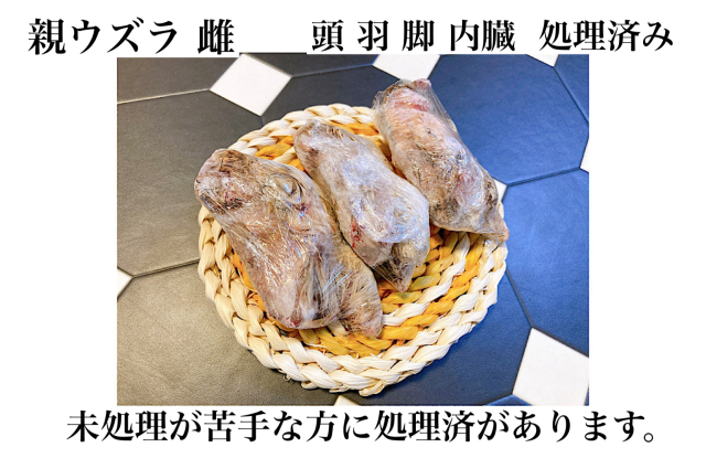 冷凍ウズラ　処理済み　30羽 冷凍国産 親ウズラ 処理済（足、内臓、頭、羽、処理済）
