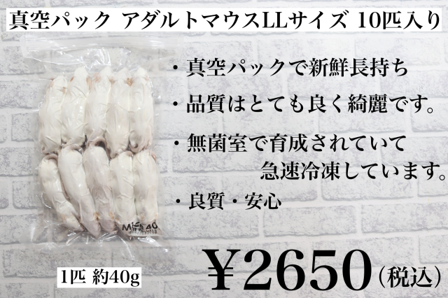 個包装 冷凍ラット 30匹セット（独特の上品 - Yahoo