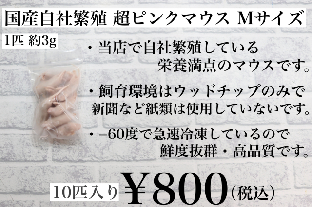 鮮度最高級　冷凍国産　ピンクマウスMサイズ　10匹入り　1匹約3ｇ　