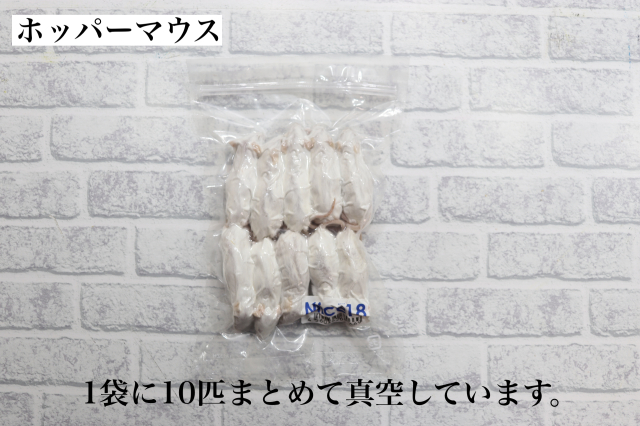 冷凍やわげねずみ 【真空パック冷凍】✨送料応援キャンペーン✨ 冷凍ヤワゲネズミ