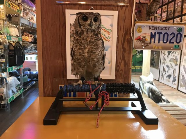 鉄製 OWLパーチ 半ロープ仕様 Sサイズ