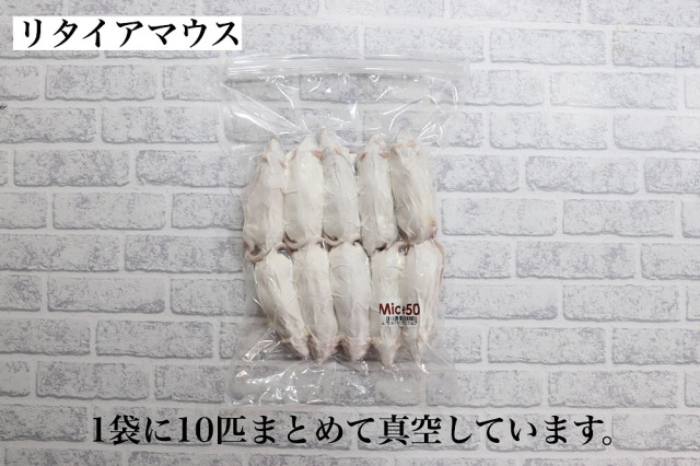冷凍 真空パック マウス 全4種類 10匹入り