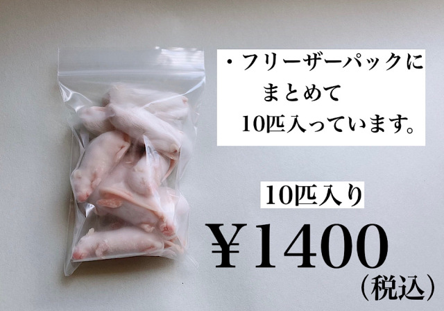 国産 冷凍マウス ファジー L 100匹 (送料無料一部地域発送不可