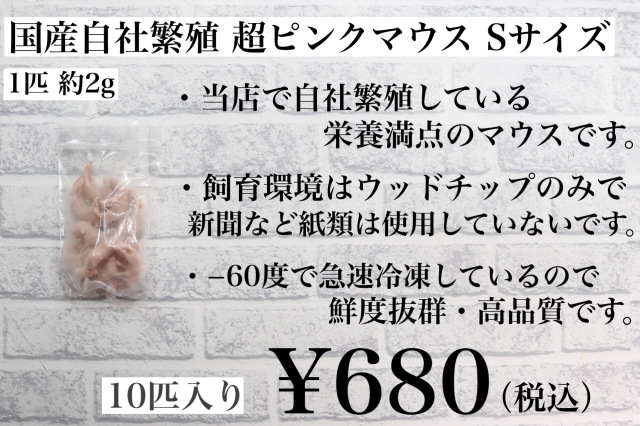 鮮度最高級　冷凍国産　ピンクマウスSサイズ　10匹入り　1匹約2ｇ