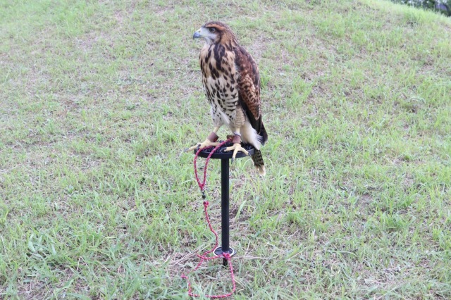 屋外用 スパイクファルコンブロック Mサイズ