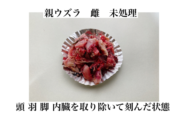 冷凍国産 親ウズラ 処理済（足、内臓、頭、羽、処理済）