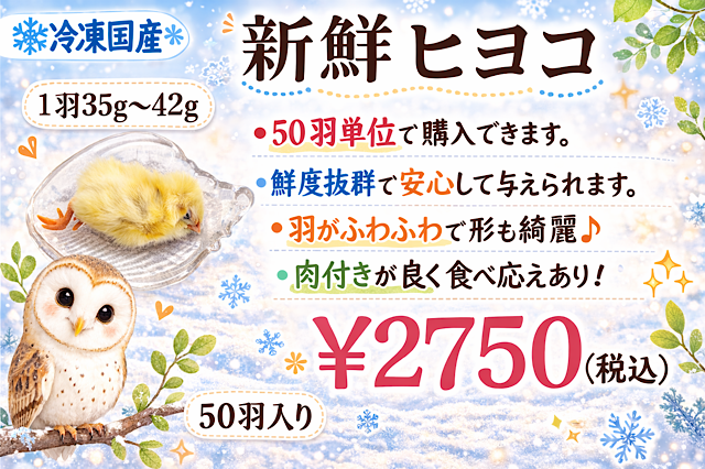 リピート購入、複数購入で＋10羽 送料無料 国産 新鮮安全 冷凍ひよこ 300羽