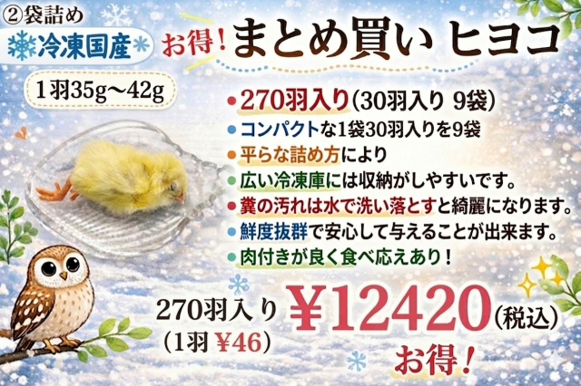 冷凍国産 新鮮なヒヨコ 250羽、300羽、350羽、400羽、510羽 冷凍国産 新鮮なヒヨコ 250羽、300羽、350羽、400羽、510羽