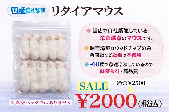 鮮度最高級　冷凍国産　リタイアマウス　10匹入り