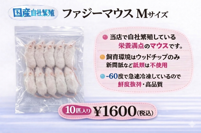 鮮度最高級　冷凍国産　ファジーマウスＭサイズ　10匹入り