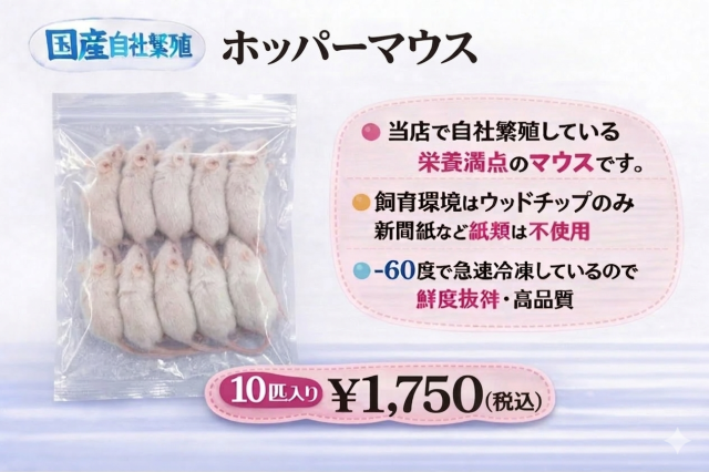 冷凍国産　鮮度最高級　ホッパーマウス　10匹入り　1匹約15g~19g