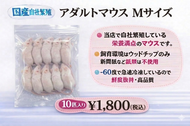 冷凍国産　鮮度最高級　アダルトマウスＭサイズ　10匹入り