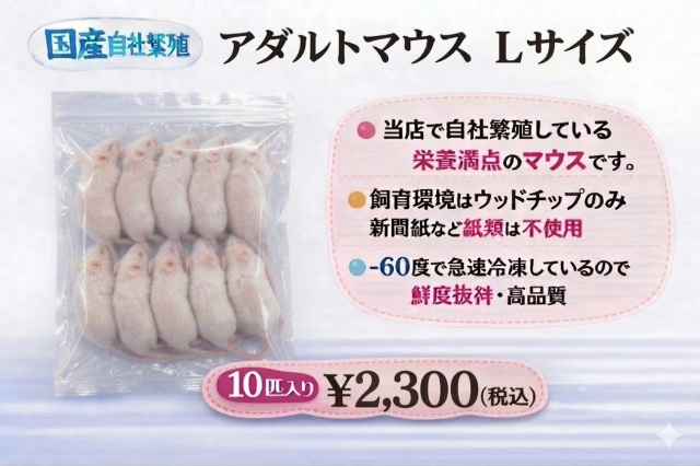 冷凍国産　鮮度最高級　アダルトマウスＬサイズ　10匹入り