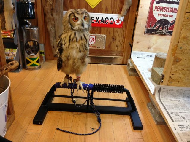 鉄製 OWLパーチ 半ロープ仕様 Mサイズ 約15kg