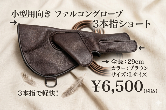 ファルコングローブ　ショート　3本指　小型猛禽用