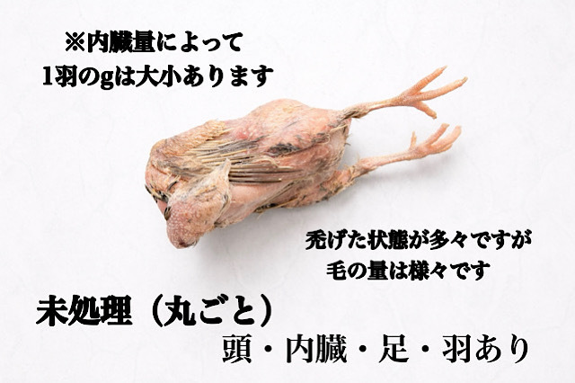 冷凍国産 親ウズラ雌 丸ごと（未処理）1袋5羽入り