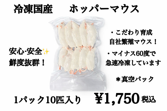 冷凍国産 鮮度最高級 ホッパーマウス 10匹入り 1匹約15g~19g