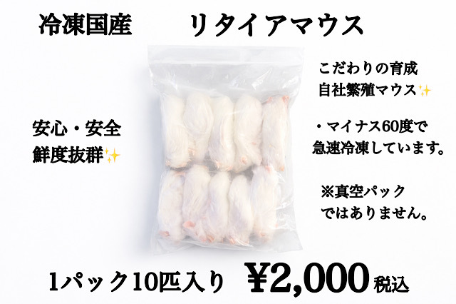 鮮度最高級　冷凍国産　リタイアマウス　10匹入り