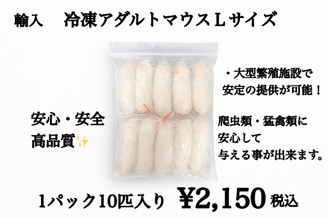 冷凍　個別袋　アダルトマウスＬサイズ　10匹入り　