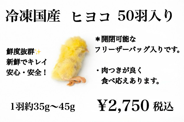 冷凍　国産　新鮮な　ヒヨコ　50羽