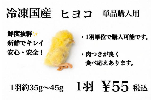冷凍　国産　新鮮な　ヒヨコ　1羽