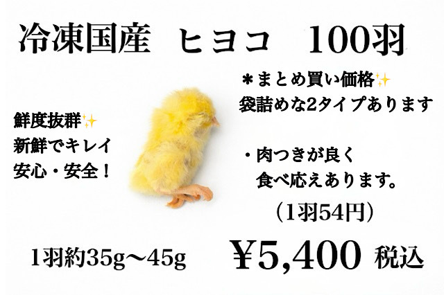冷凍　国産　ヒヨコ　新鮮な　100羽～150羽　　